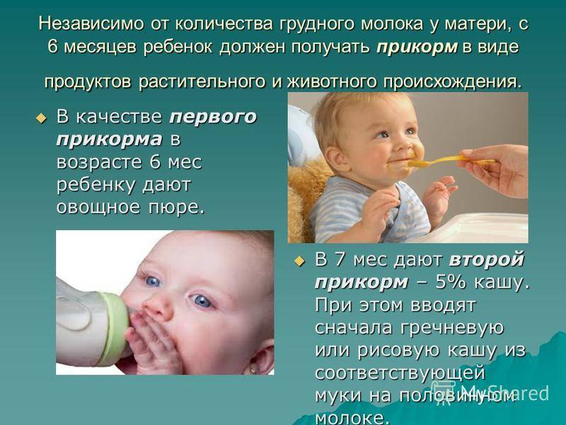 Можно ли при грудном вскармливании пить молоко. Питание детей грудного возраста. Питание детей грудного и раннего возраста. Введение молока в питание ребенка. Пищевая аллергия у младенцев на гв.