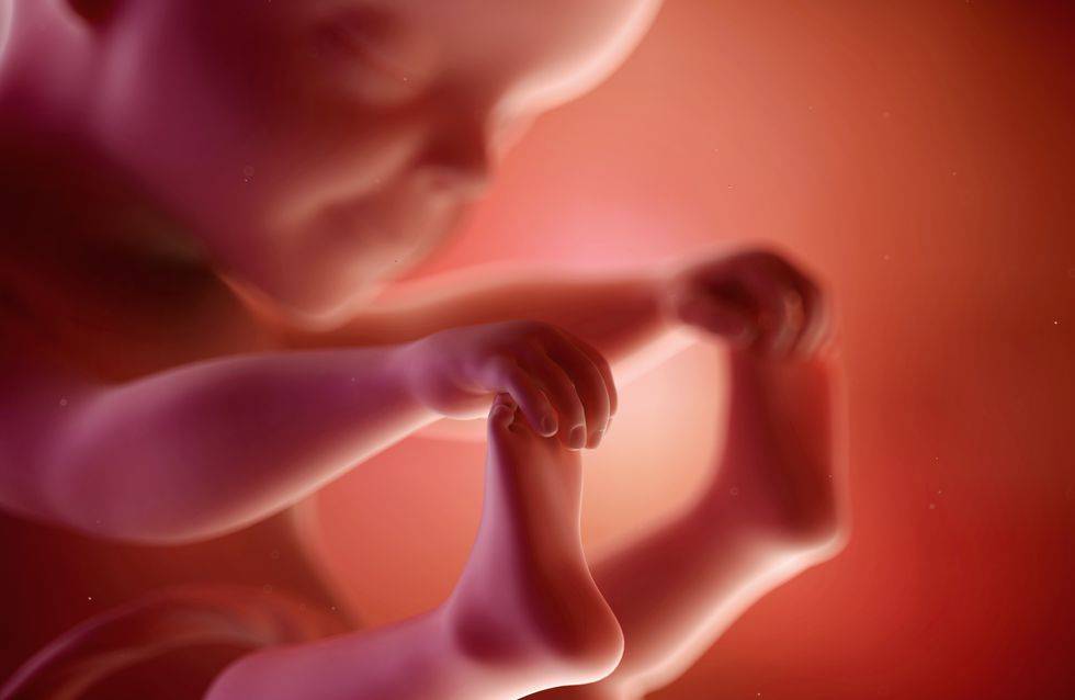 25 неделя беременности: что происходит с малышом, особенности развития плода