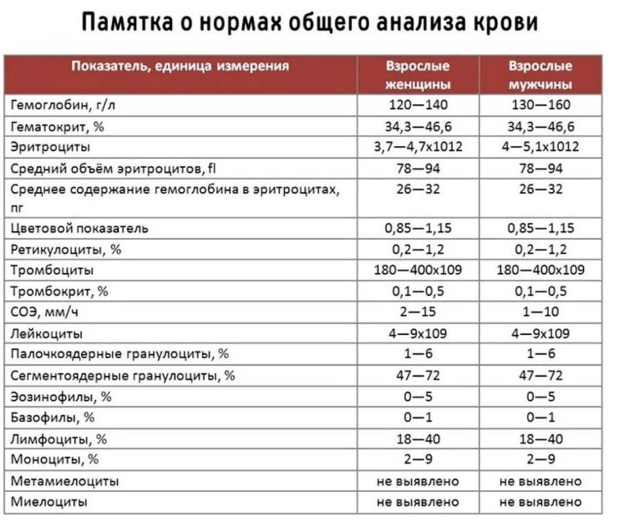 Расшифровка клинического анализа крови у детей | норма клинического анализа крови у детей «омикрон - томоград»