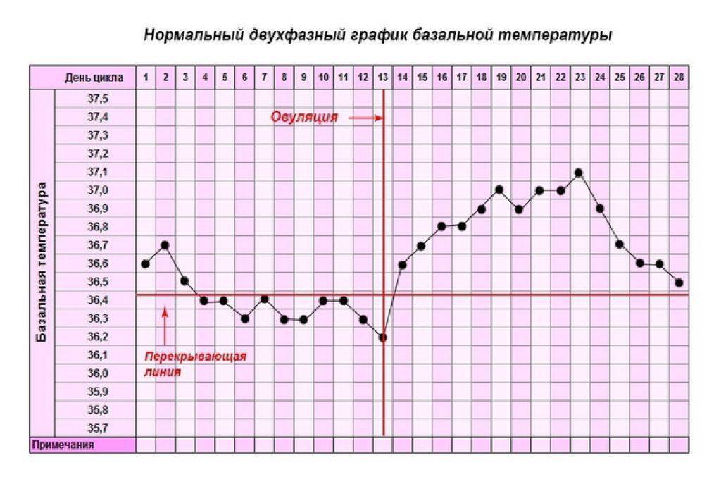График БТ С овуляцией и беременностью. Нормальный график базальной температуры. График базальной температуры норма с примерами. График базальной температуры беременной и небеременной.