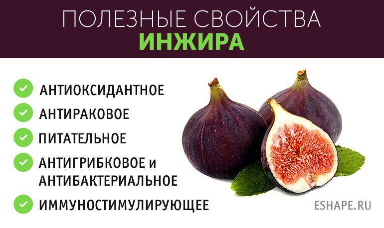 Инжир при грудном вскармливании в первые месяцы - можно или нет