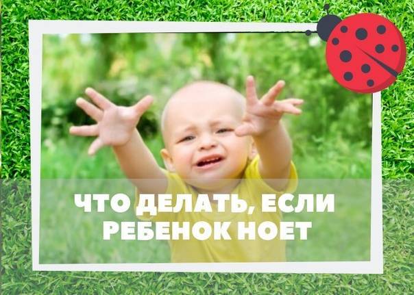 Почему ребенок постоянно ноет? - воспитание без наказаний - страна мам