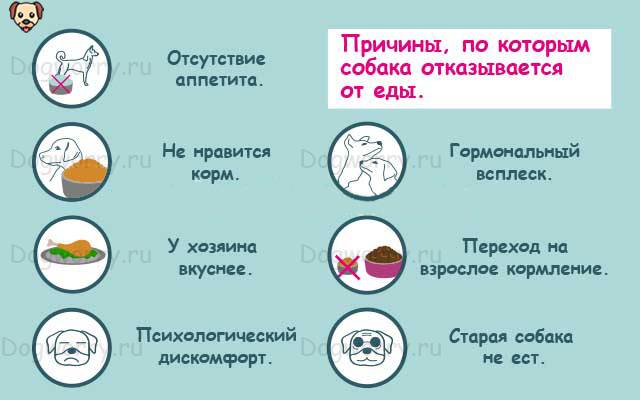 После еды становится плохо слабость. Почему пропадает аппетит. Отсутствие аппетита причины. Плохой аппетит причины. Почему пропадает аппетит у девушки.