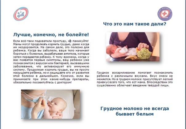 Можно ли зефир при грудном вскармливании | s-voi.ru