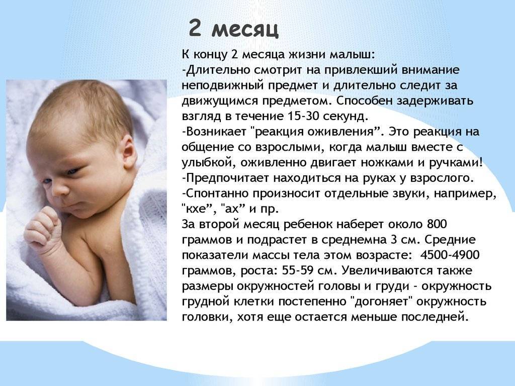 Дети в два месяца все очень разные – от чего это зависит? что должен уметь ребенок в 2 месяца: особенности развития в этом возрасте - автор екатерина данилова - журнал женское мнение