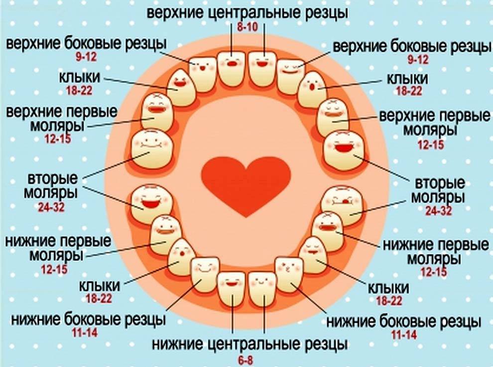 Первые зубы у грудничка: когда прорезываются и как снять боль