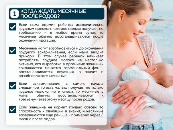 ➤ месячные после родов