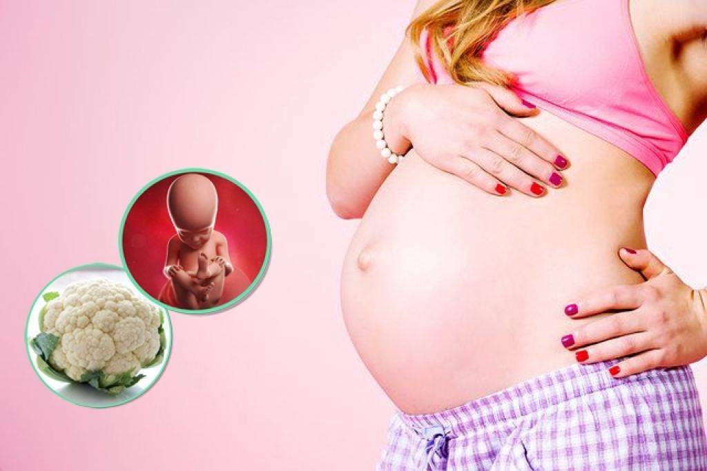 27 неделя беременности: сколько это месяцев, что происходит с ребенком, развитие и шевеления плода / mama66.ru