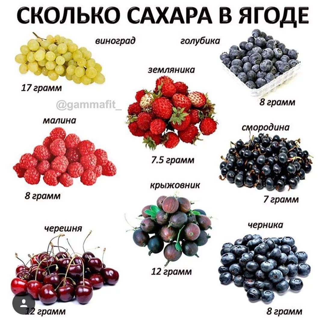 Можно ли виноград при грудном вскармливании?