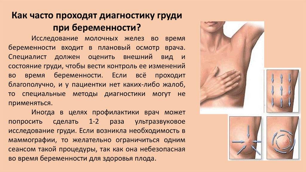 10 основных признаков беременности: как понять, что вы ждете ребенка