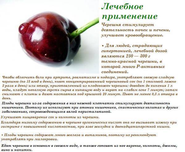 Черешня в 1, 2 и 3 триместрах беременности: можно ли есть, какова польза?