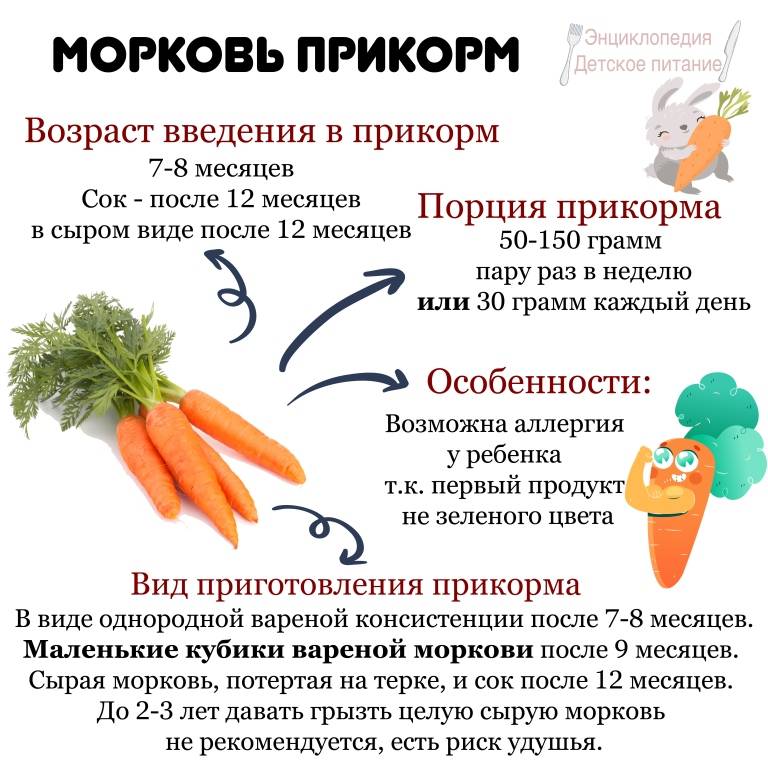 Пюре из моркови для грудничка: с какого возраста можно приготовить малышу?