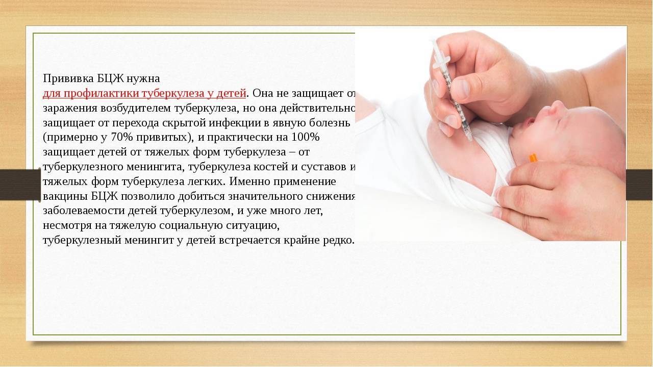 Для чего нужна прививка бцж? о том, зачем нужно прививаться от туберкулеза и кого нельзя вакцинировать, рассказывает врач-педиатр