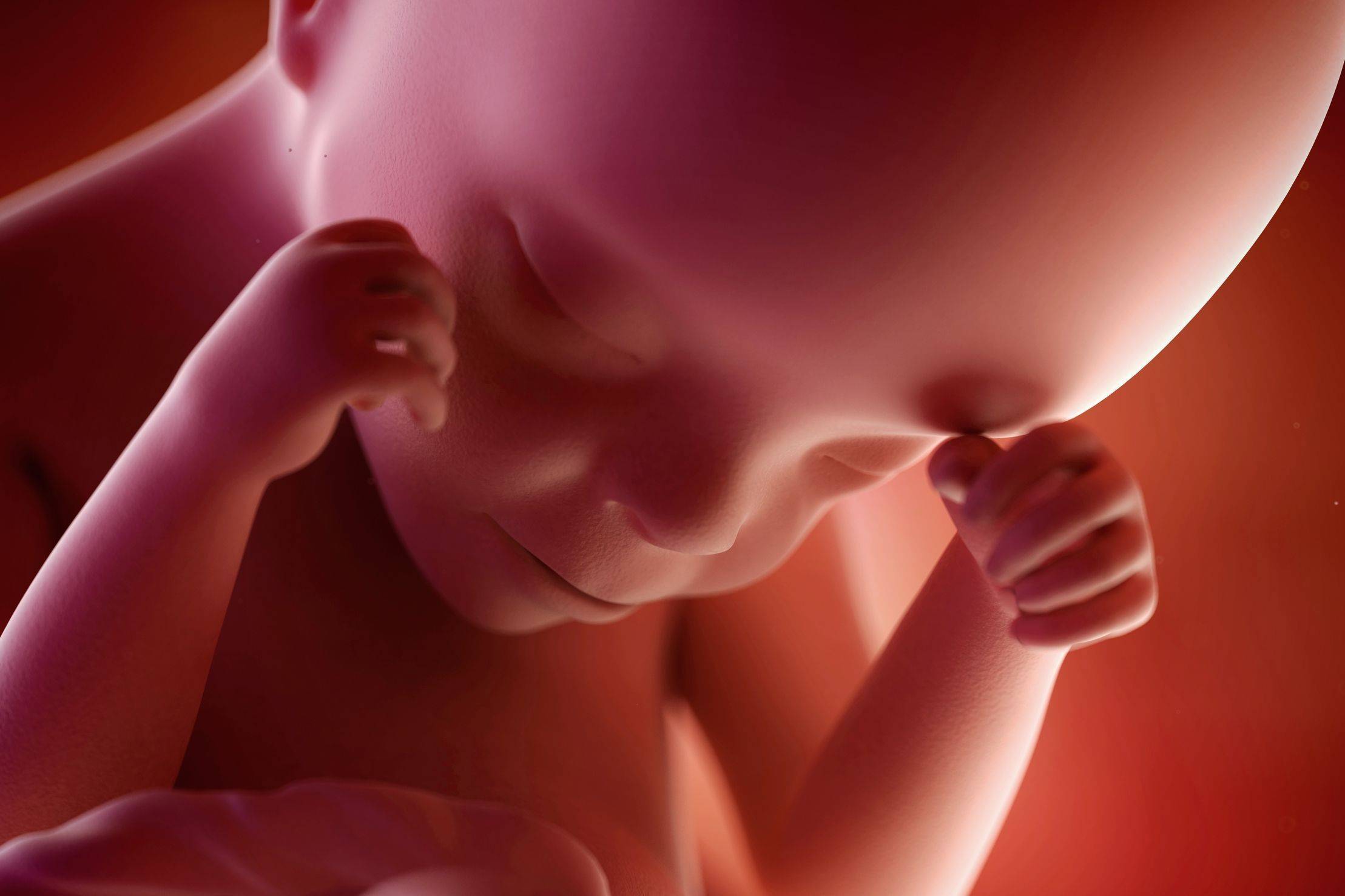 24 неделя беременности: что происходит с малышом и мамой, развитие плода