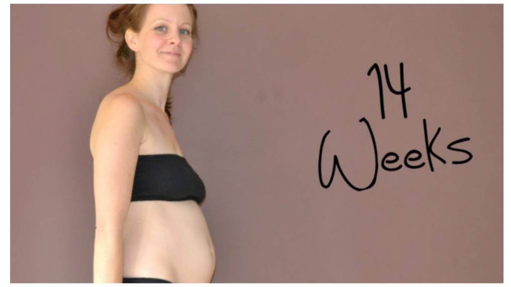 14 неделя беременности - что происходит с малышом и мамой: развитие плода и ощущения женщины