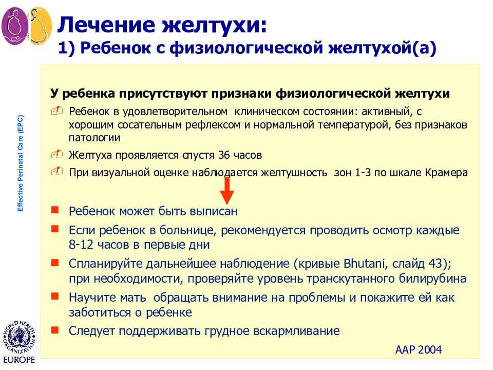 Желтушка у новорожденных: виды, причины, последствия, лечение, профилактика, видео