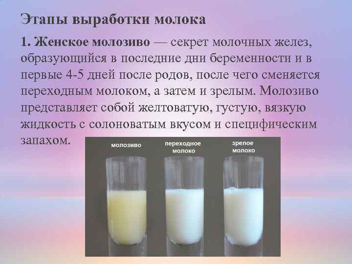 Молозиво при беременности: как выглядит, фото, когда появляется на каком месяце