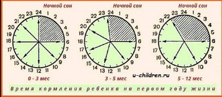 Грудное вскармливание: по требованию или по режиму?