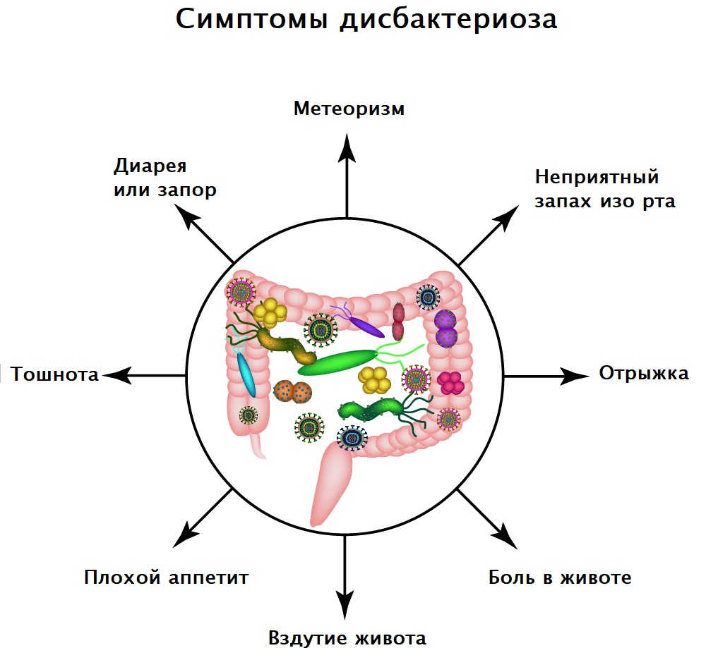 Анализ кала на дисбактериоз