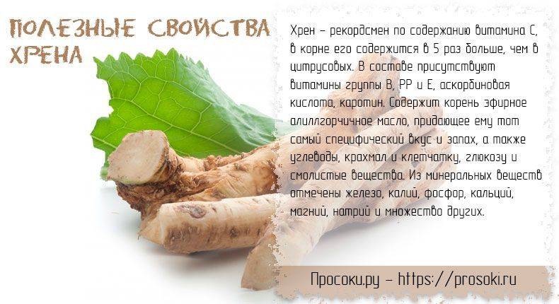 Баранина при грудном вскармливании новорожденного