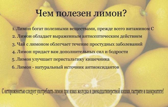 Лимон при грудном вскармливании: пробуем без кислой мины
