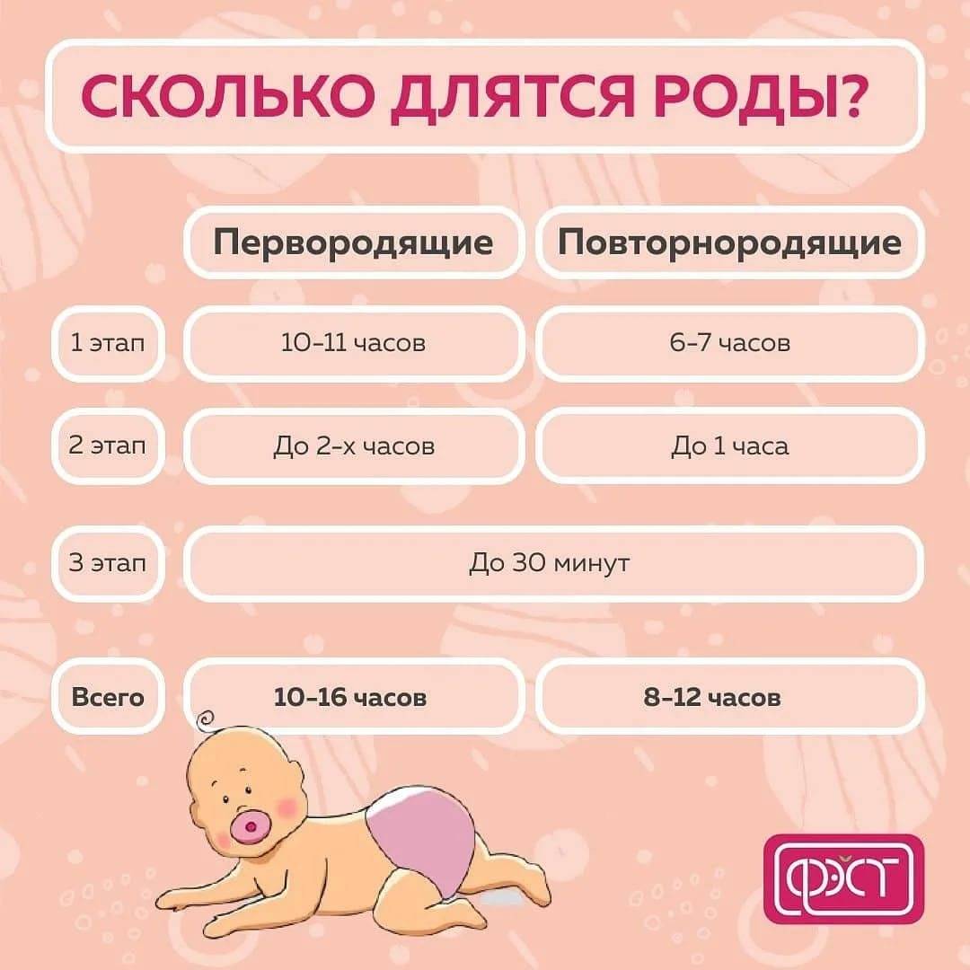 Сколько недель длится беременность с момента зачатия и первого дня цикла?