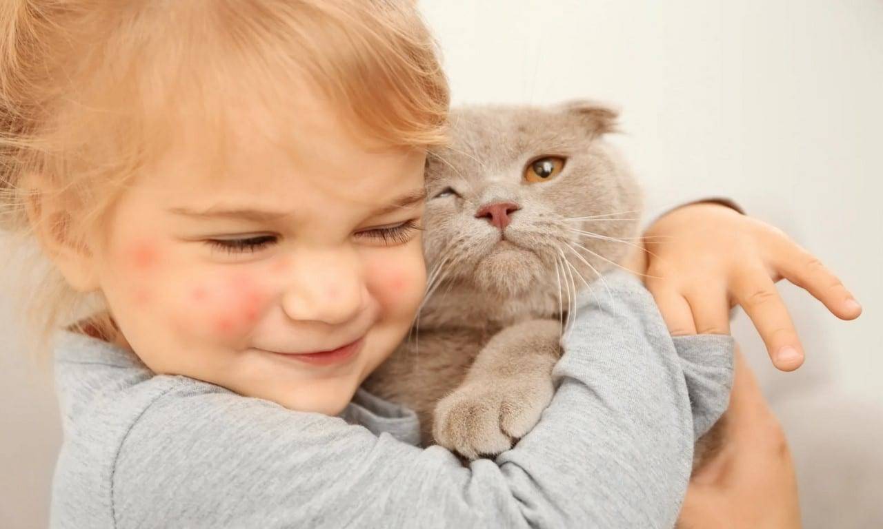 Как узнать, есть ли у ребенка аллергия на кошек