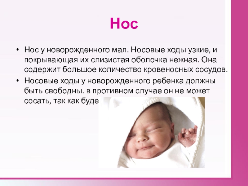 Ребенок хрюкает носом — причины проблемы - mama.ru