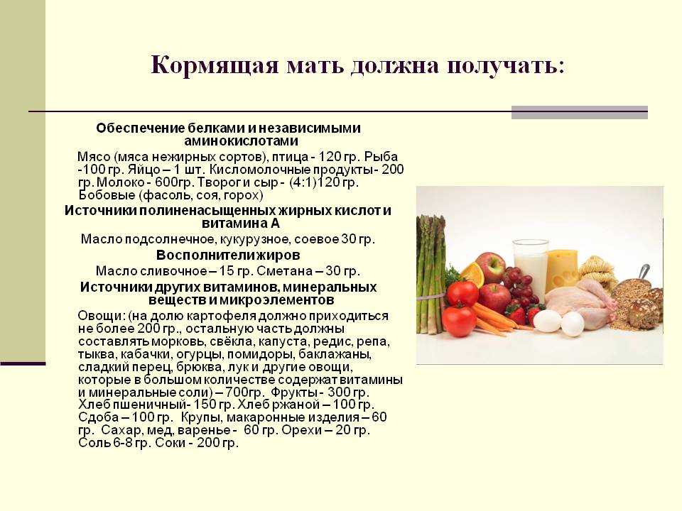 Можно ли капусту при гв: когда и в каком виде (свежую, тушеную)