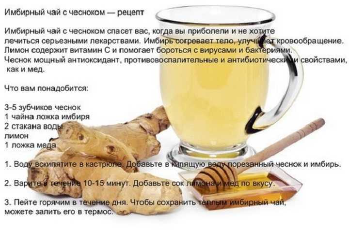 Имбирь при беременности: можно ли употреблять на ранних и поздних сроках?