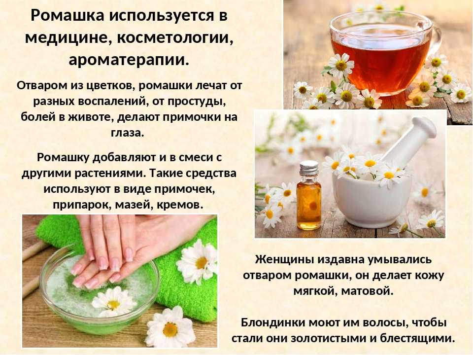 Ромашка для грудничка