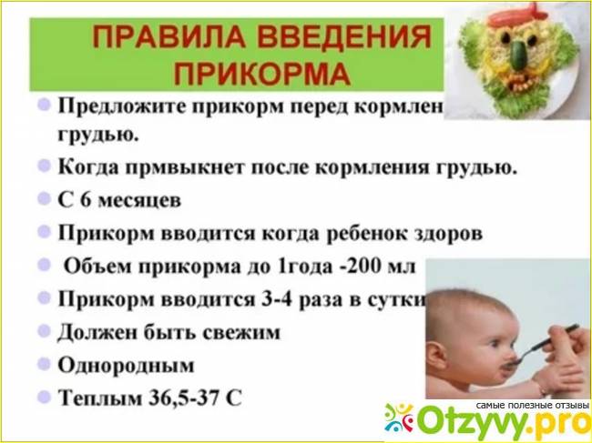 Запор после введения прикорма