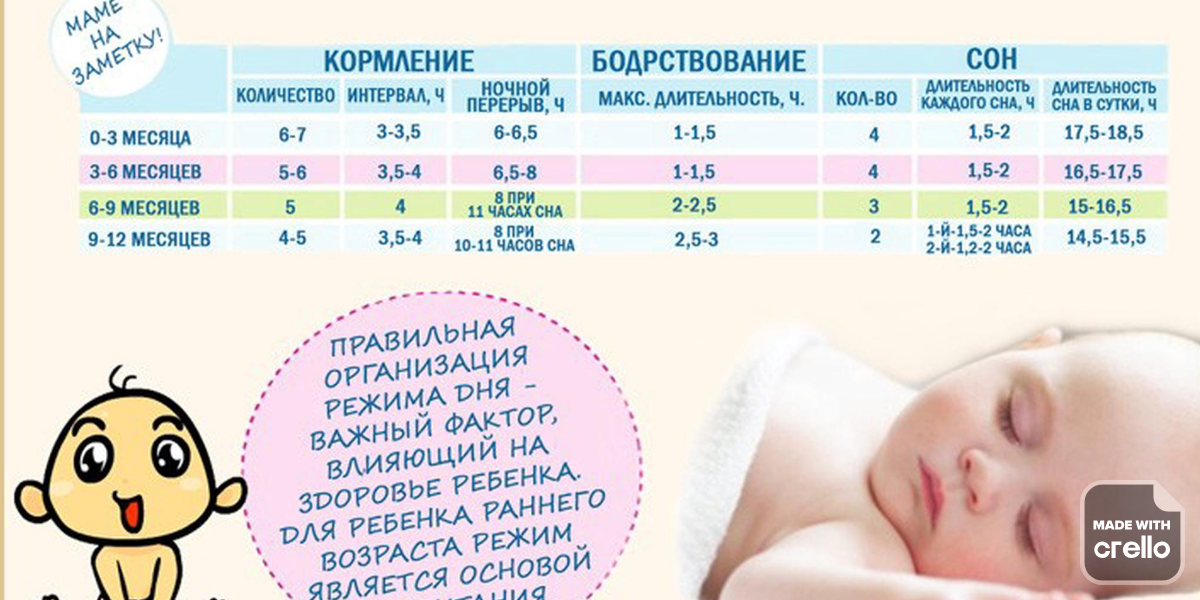 Режим дня новорожденного – чем полезен и как организовать