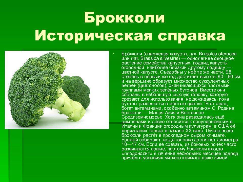 Капуста брокколи польза для организма. Брокколи для презентации. Презентация брокколи для детей. Родина брокколи. Брокколи витамины.