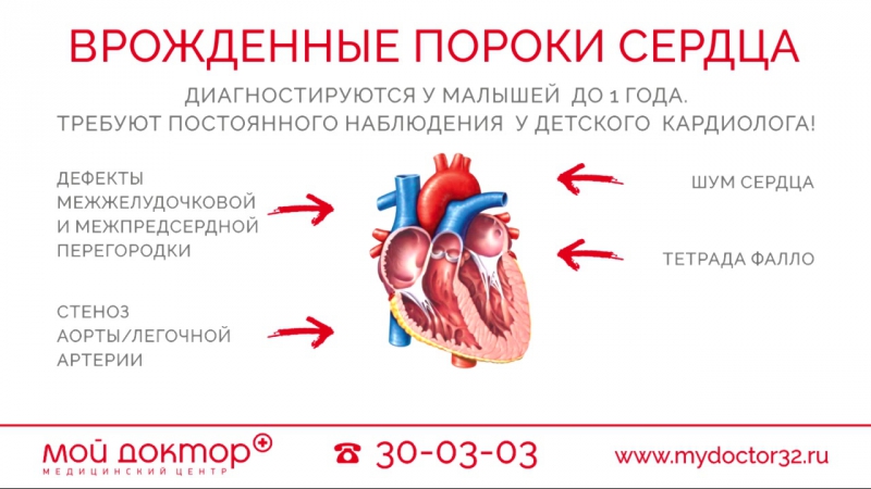 "белые" пороки сердца: анатомические особенности и способы коррекции