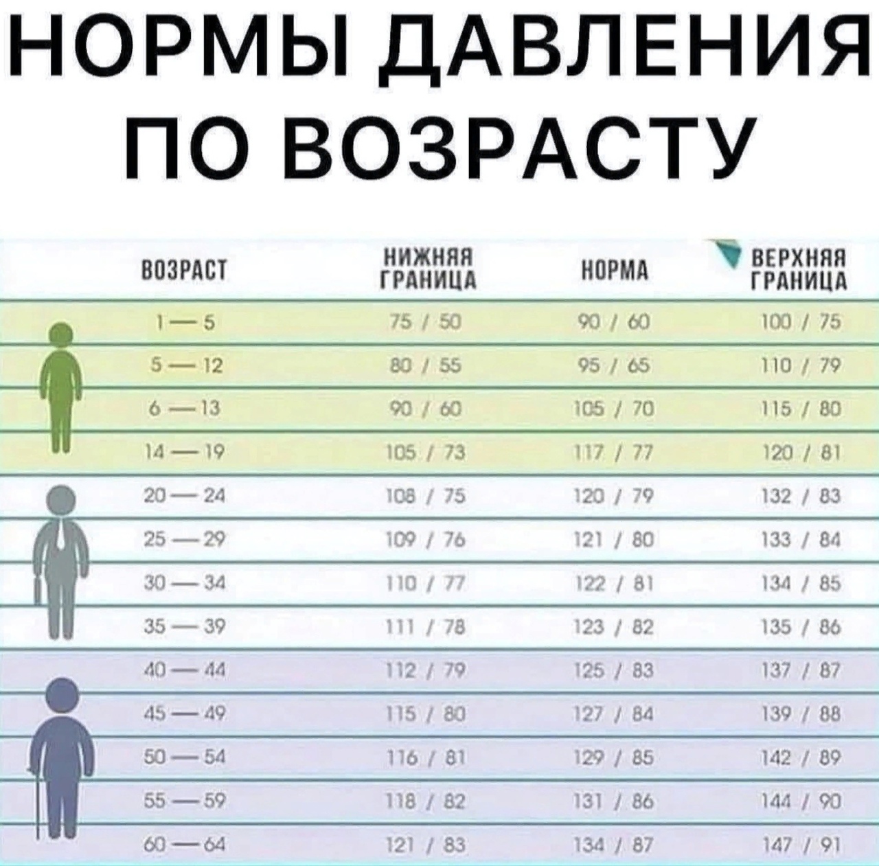 Нормальное давление у мужчины 55 лет