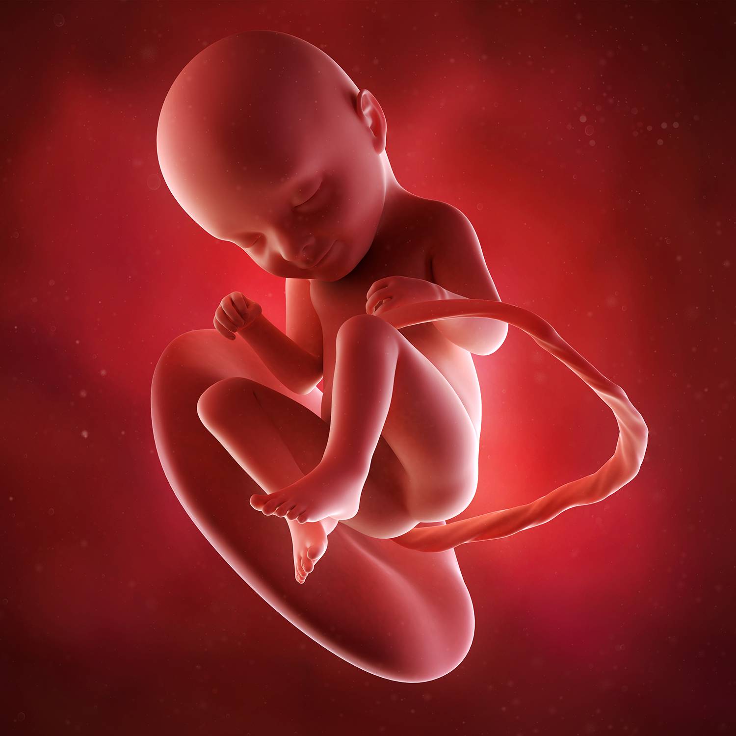33 недели беременности сильно. Внутриутробные снимки детей. Моделирование детей внутриутробно. Фон внутриутробное инфицирование.