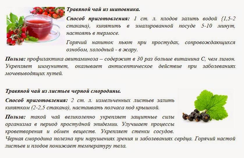 Можно ли шиповник при грудном вскармливании? - ✿ «всё для мамы»