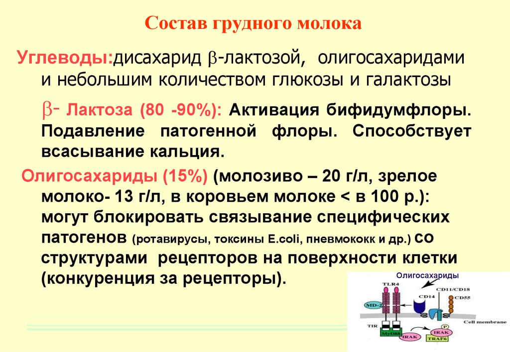 Грудное молоко — лучшее от природы или 8 главных причин кормить грудью