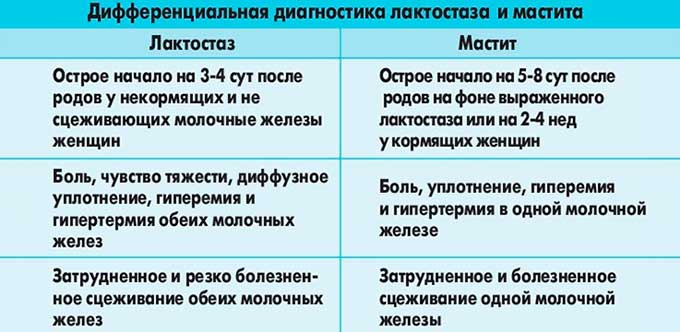 Лактостаз с температурой лечение