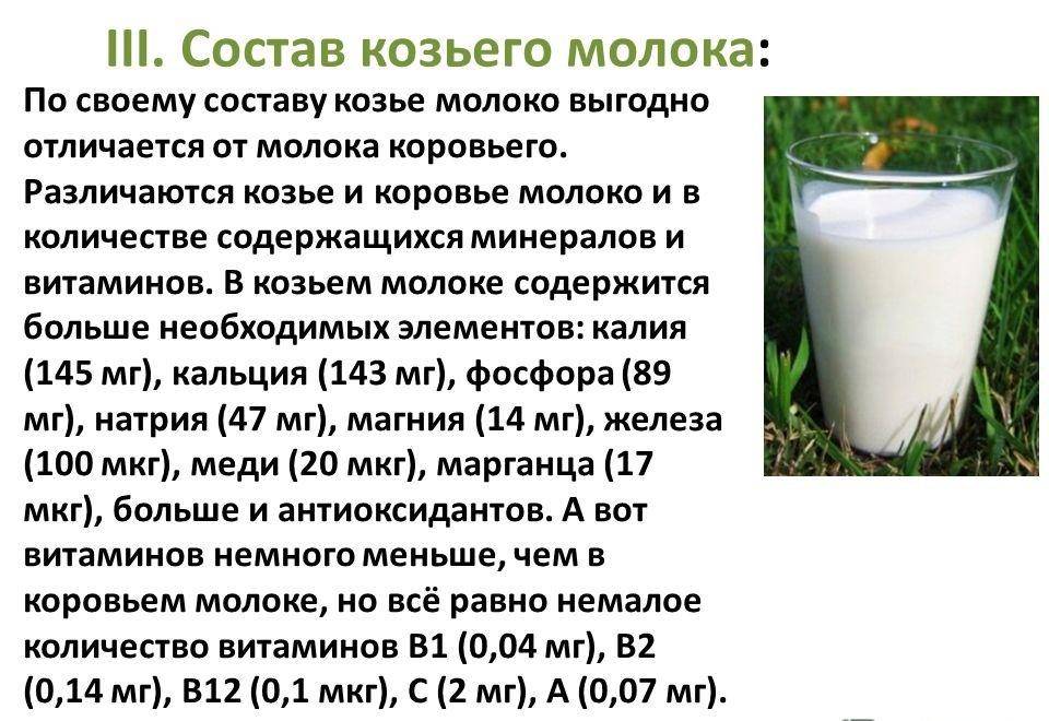 Козье молоко вместо коровьего: почему?