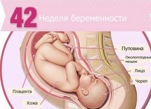 Слабая родовая деятельность: причины, последствия, прогнозы