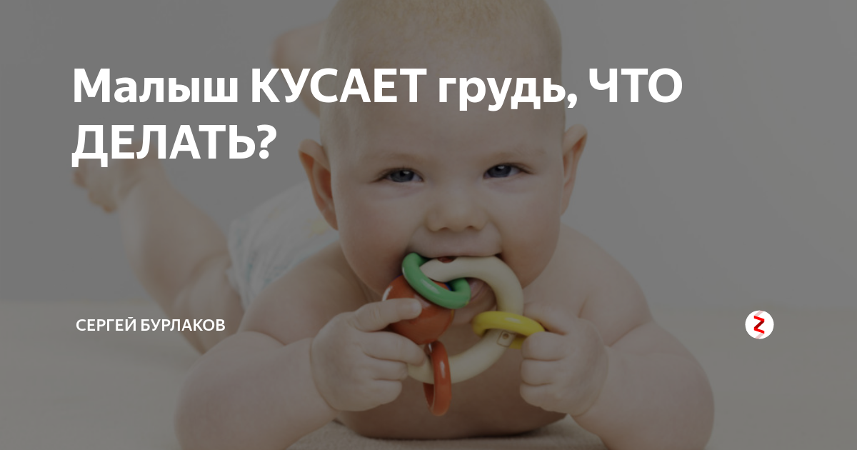 Ребенок кусает грудь: почему и как отучить