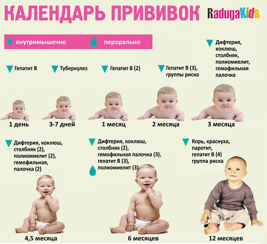 Календарь прививок: график и таблица для детей до 1 года по месяцам