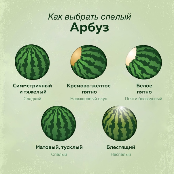 Выбрать вкусный арбуз по основным признакам