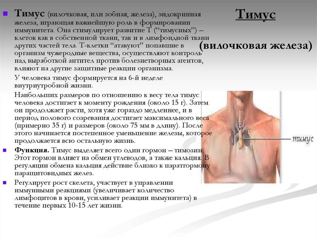 Синдром увеличения вилочковой железы у детей раннего возраста