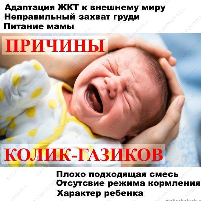 Пищеварение у новорожденных детей, когда нормализуется и как наладить пищеварение у грудничка? - agulife.ru