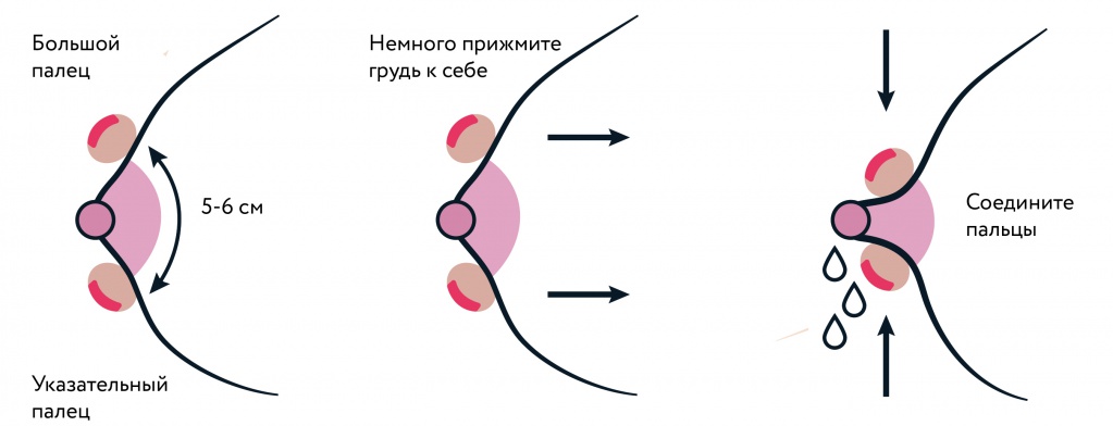 Лактация - что это такое? почему пропадает? как стимулировать и как правильно прекращать лактацию?