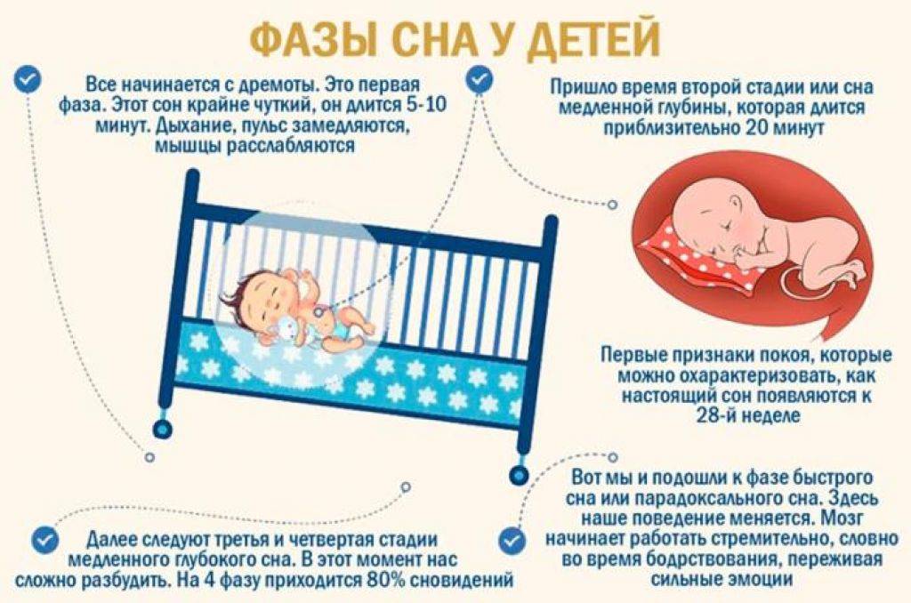 Нужно ли будить новорожденных для кормления | основные правила кормления