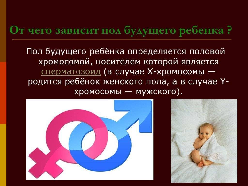 От чего зависит пол ребенка при зачатии с научной точки зрения, какая хромосома отвечает за него?